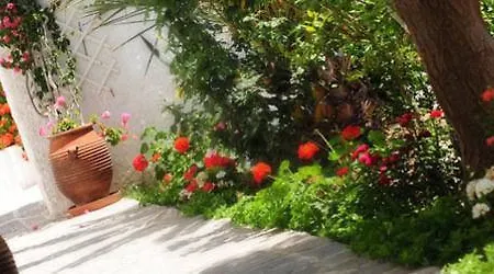 Hotel Selina Paros